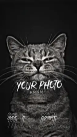 :3