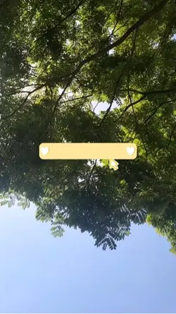 Outro