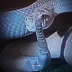 Bye Bye