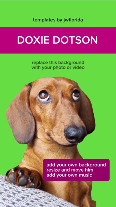 capcut template cover