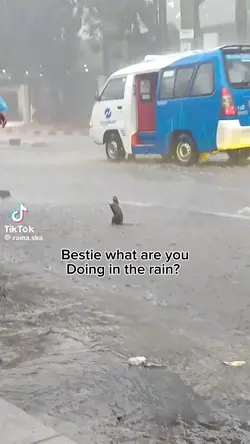 Text only 