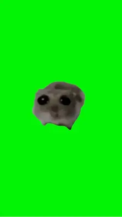 Green scree