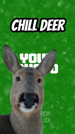 Chill Deer