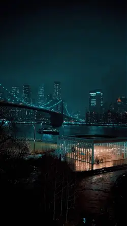 night ny