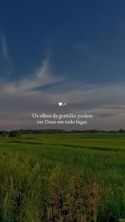 Olhos da Gratidão🩵