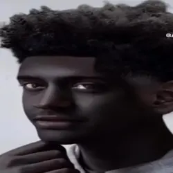 Imagine if ninja got