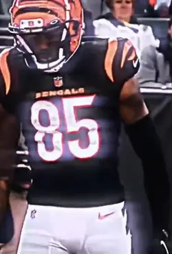Bengals