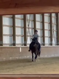 Her canter😍