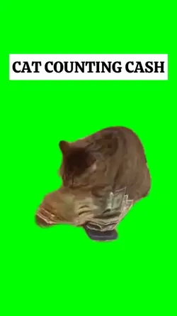 CAT COUNTING CASH