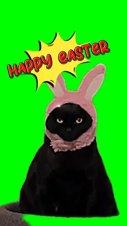 cat easter 