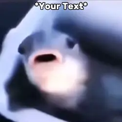 Fish Suck Meme