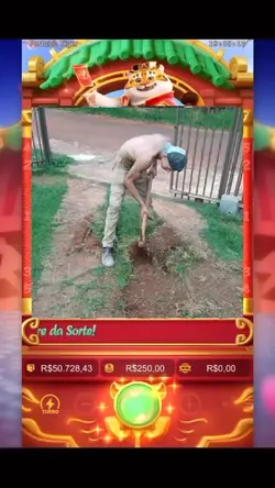 Plataforma nova 