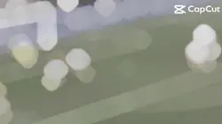 That curve