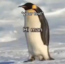 Penguin attack meme