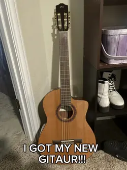 new gitaur