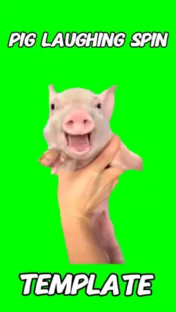 Pig Laugh Spin