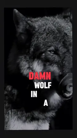 The wolf 