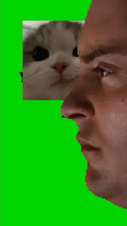 Tricky Cat