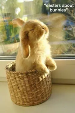easters abt jesus 🙏
