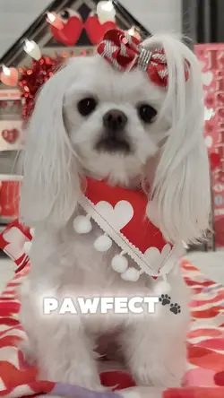 Valentine Dream