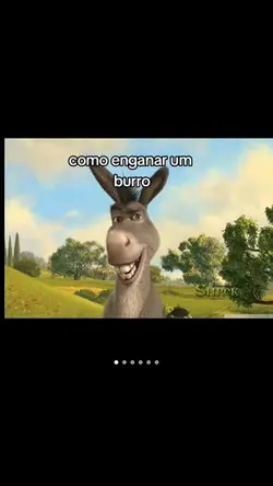 meme