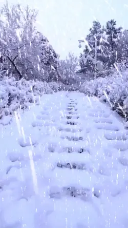 Snow scene