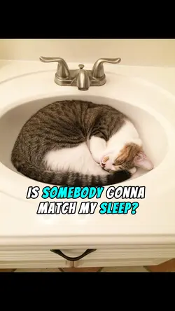 Nap Game