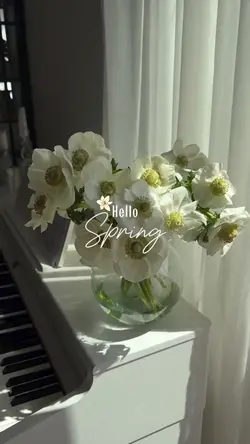 Hello Spring