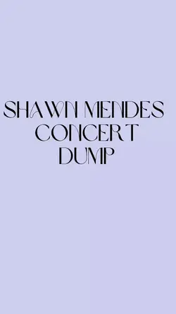 Shawn Mendes concert