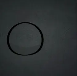 Take a picture here