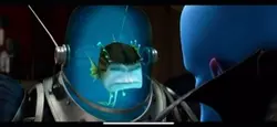 is that JPG? Mega