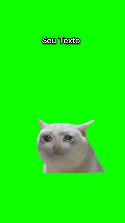 gato triste 