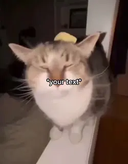 Cat butter