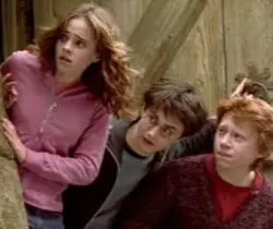 The golden trio