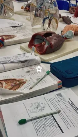 Pediatric Cardiolog