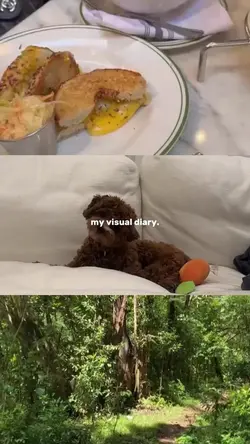  my digital diary 
