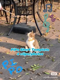 PiPo Doodle Template