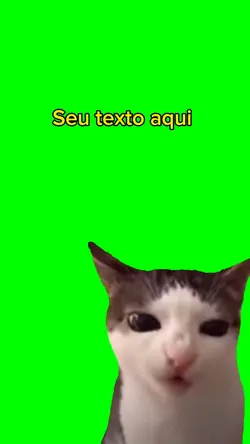 Gato comendo 