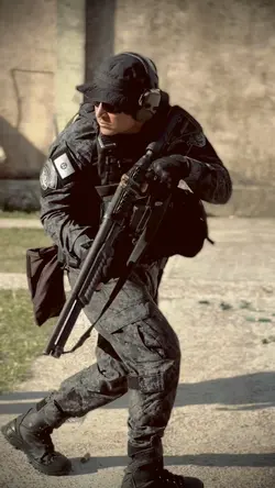 Police Aesthetic 