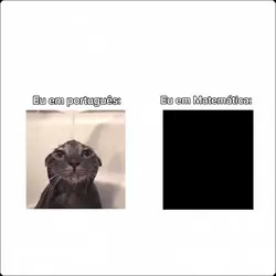 Sua melhor matéria 