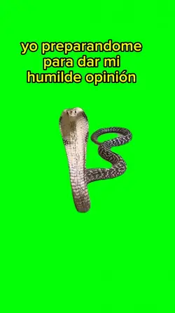 King cobra