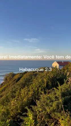 ele responderá 
