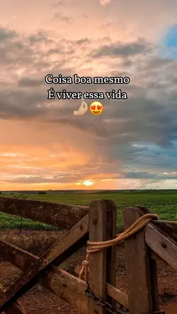 Isso que é vida😍