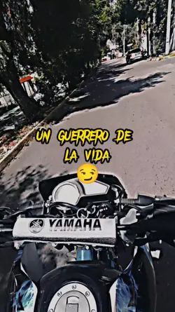 Un guerrero de vida 