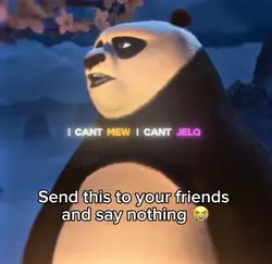 Kung fu panda funny