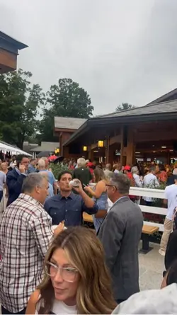 Horses Sales Auction