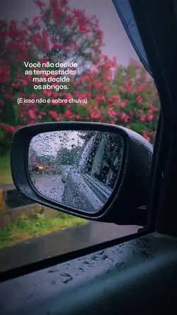 Frase•Reflexão