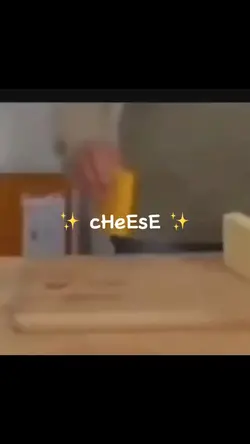 ✨ cHeSe ✨
