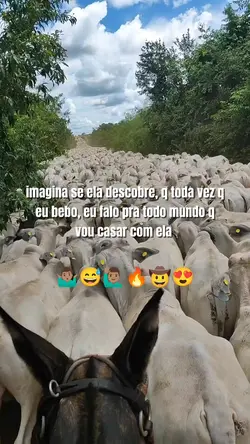 imagina 