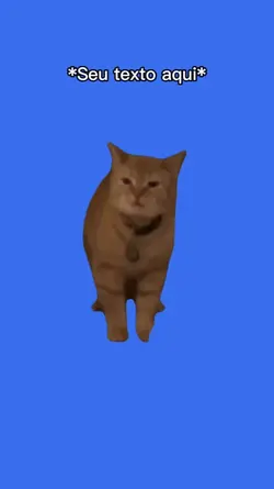 Gato miando